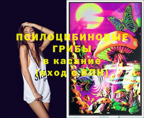 мяу мяу мука Алексин
