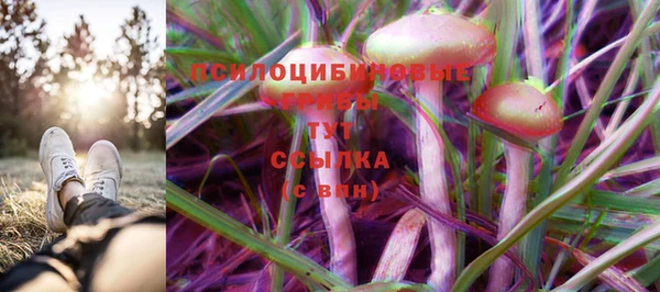 мяу мяу мука Алексин