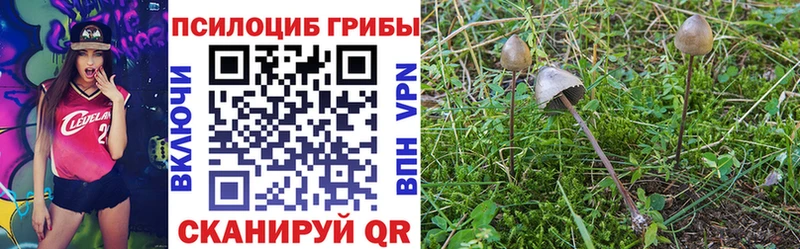 Галлюциногенные грибы мухоморы Красноуральск